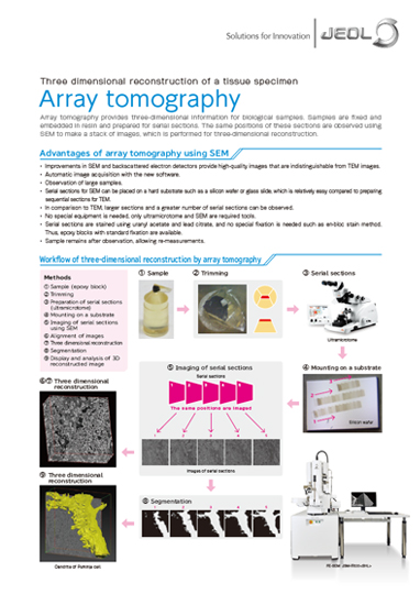 SEM Array Tomography